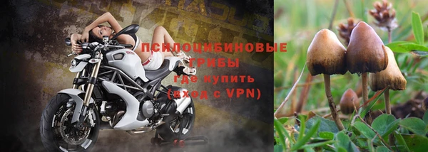 крисы Кодинск