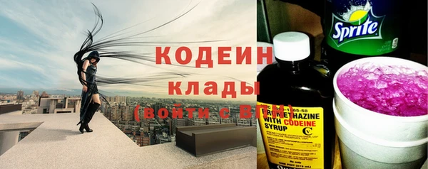 прущая мука Корсаков