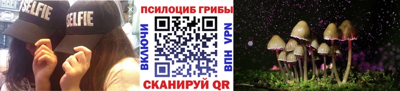 цены   Лобня  Галлюциногенные грибы прущие грибы 